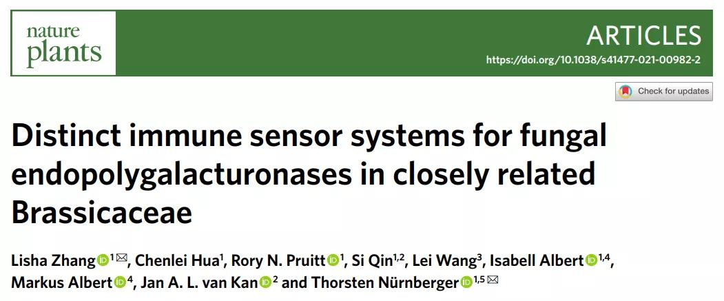 NaturePlants|张丽莎博士等揭示十字花科植物识别真菌的特殊机制