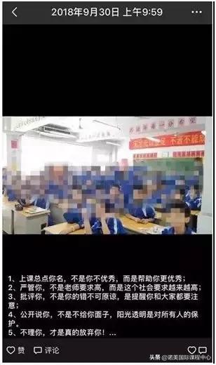 少年派大结局满是遗憾,少年派每个人的结局