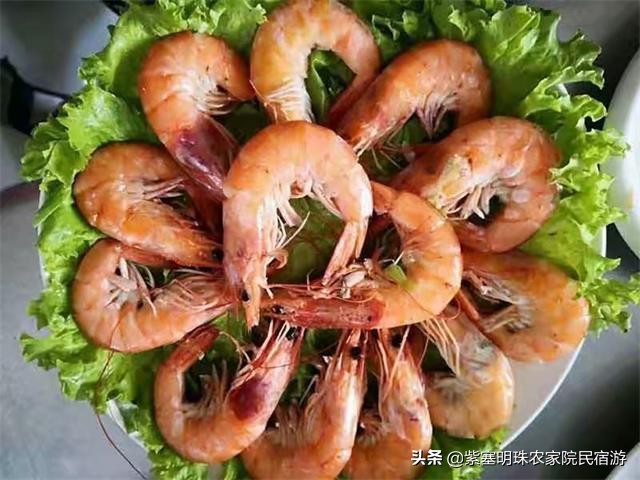 海王九岛度假村选择海旭度假村,辽宁海王九岛