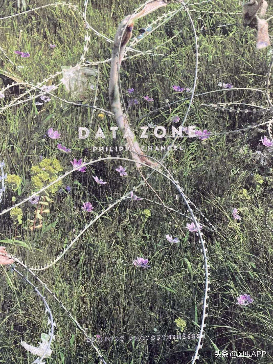 图虫opensealab摄影,图虫看动物世界系列