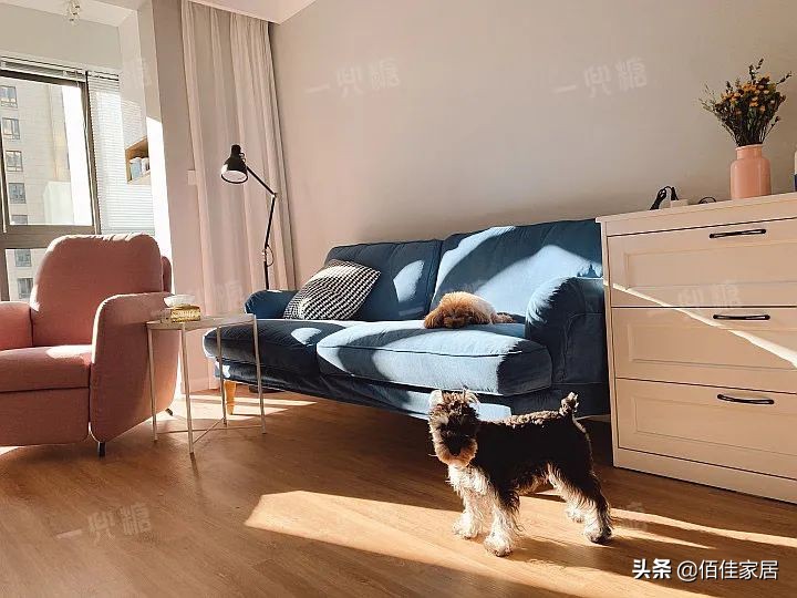 正确打开生活的方式免费,正确打开生活的方式好看吗