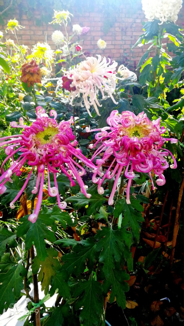 自己的微信所有群,微信怎么查我加入的群