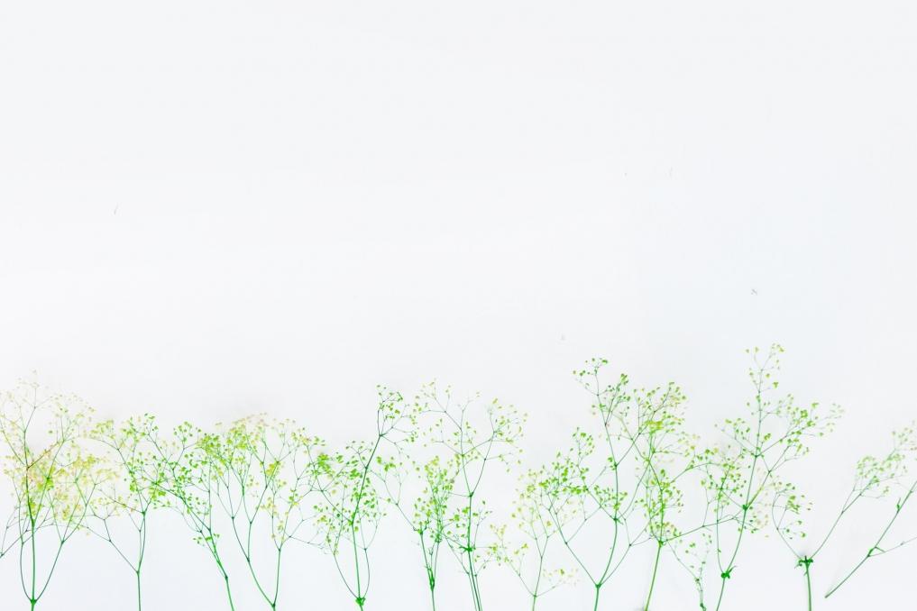 天秤座的安全感和偏爱怎么给,深度剖析天秤座性格特点