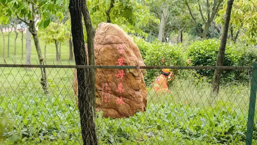 下一个松岗,这里是深圳宝安