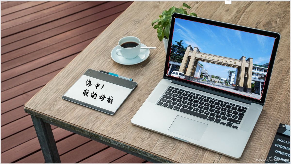 ppt表格排版设计技巧,ppt图片排版技巧单图