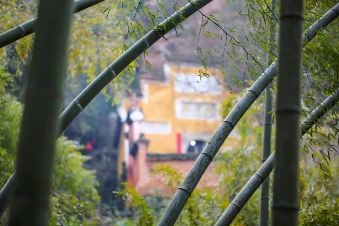 厉害了！快去“国家五星温泉”泡个汤！金华最强温泉攻略来了！