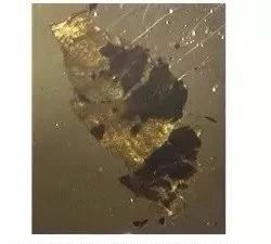 pe吹膜产品有晶点是什么原因,吹膜晶点多怎么解决