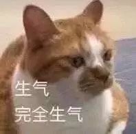 结婚前男女都需要了解哪些问题,结婚前的十大讲究