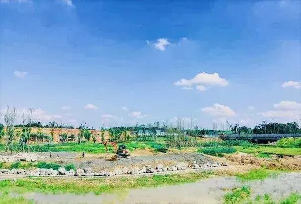 双流夜景必打卡之地,成都双流免费打卡景点