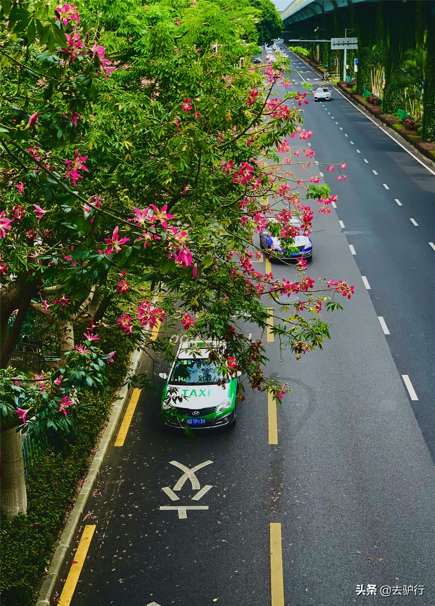 房价排名全国厦门,厦门市房价全国排名第四