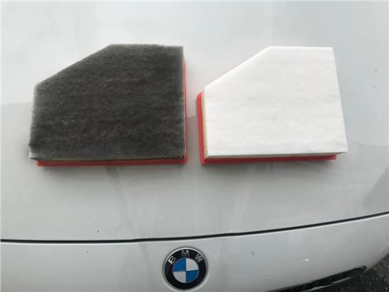 创新生态可持续,创新与生态