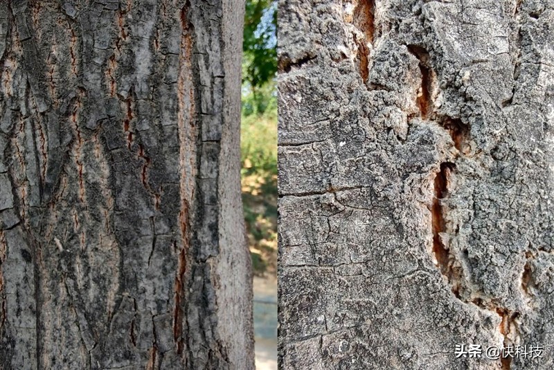 摩托罗拉edge轻奢版和摩托罗拉s30,摩托罗拉edge轻奢版跑分多少