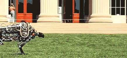 星球最强孵化器：解密美国的科技大脑