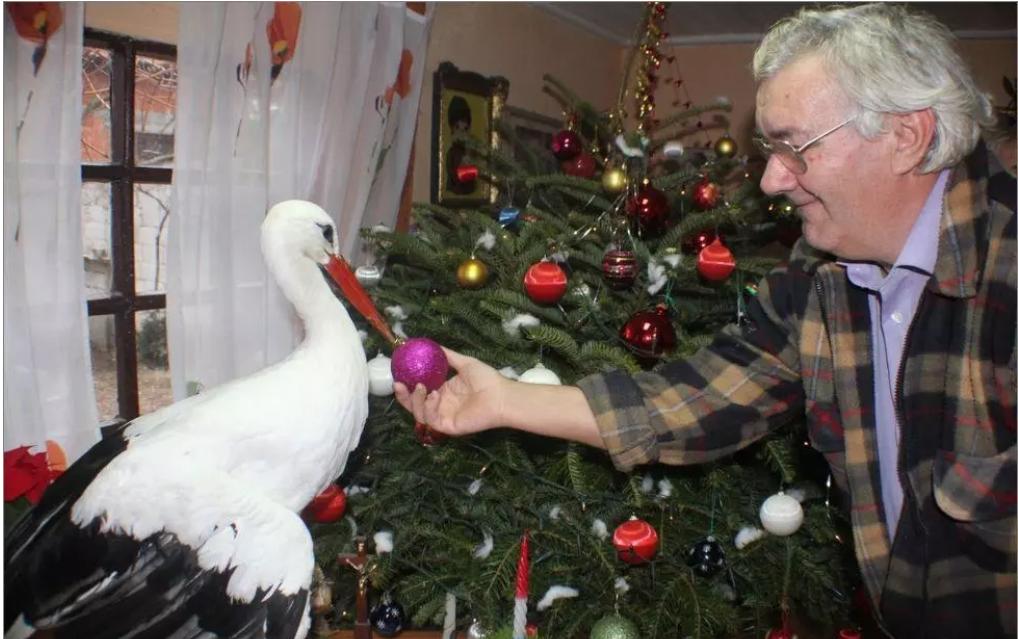 18年感人的爱情故事视频,18年的爱情故事