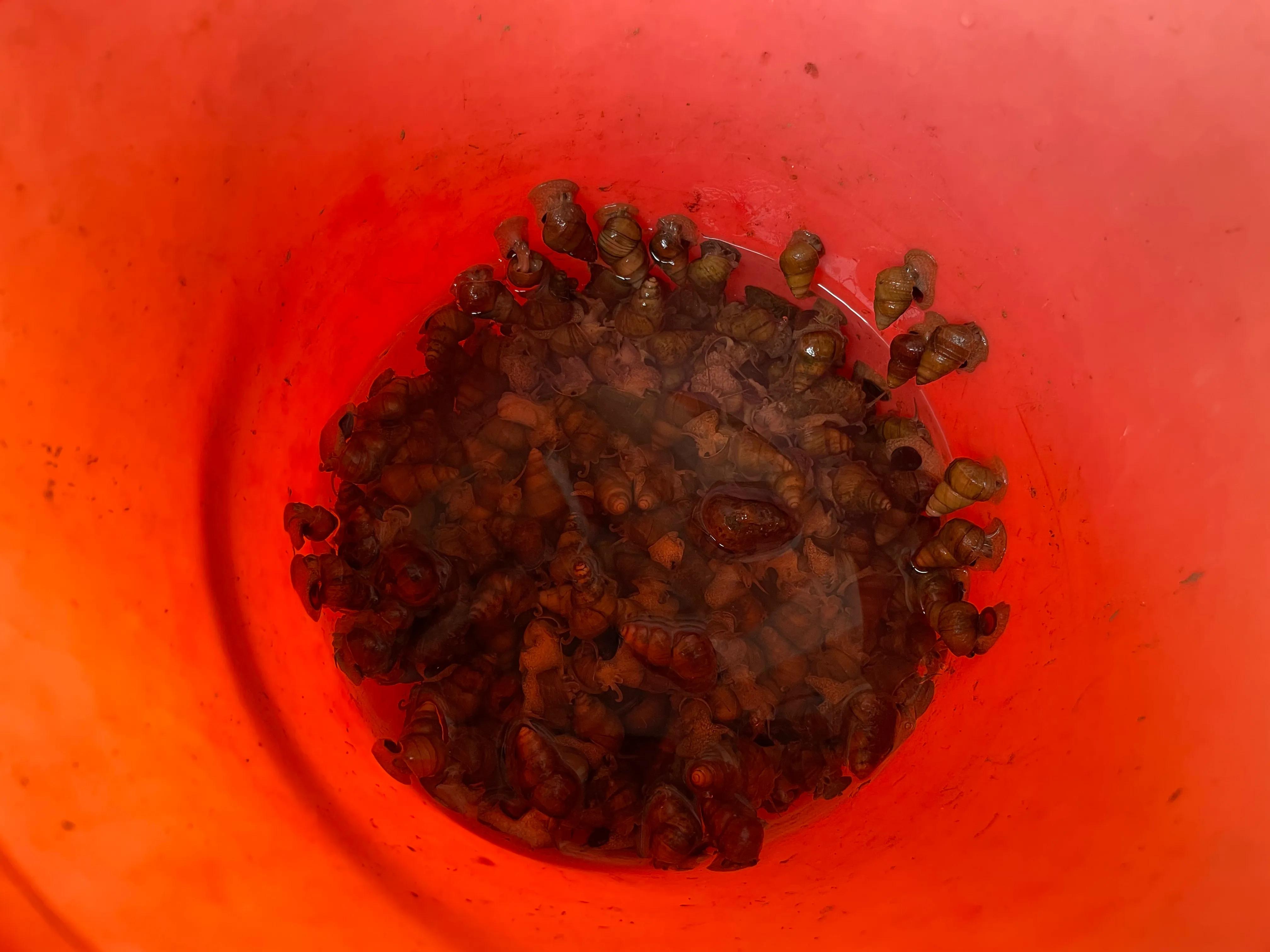 家乡门前的田野,家乡门前的一条河