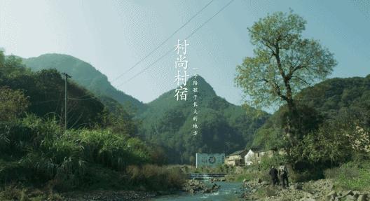 浙江杭州民宿3天二晚,浙江浦江登高村春社民宿