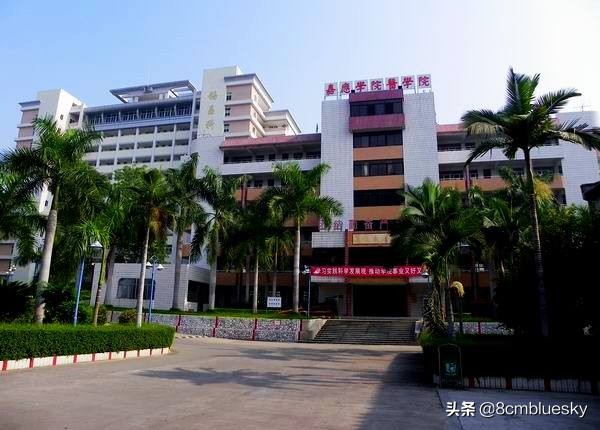 学医不代表什么都懂,学医不从医好吗