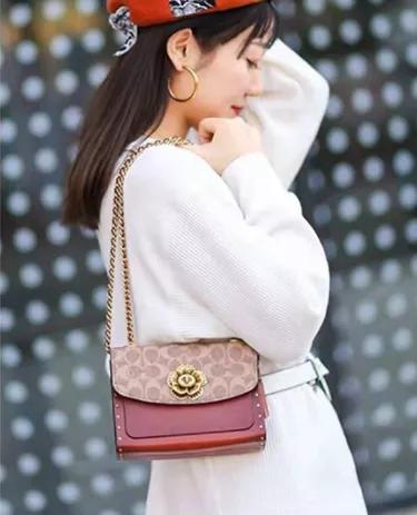 蔻驰经典款包包都有哪些,蔻驰包包哪几款是经典款