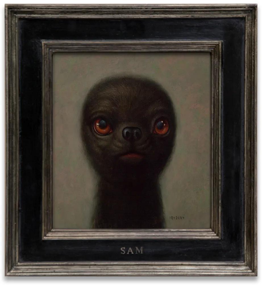 马克莱登,马克莱登动物介绍