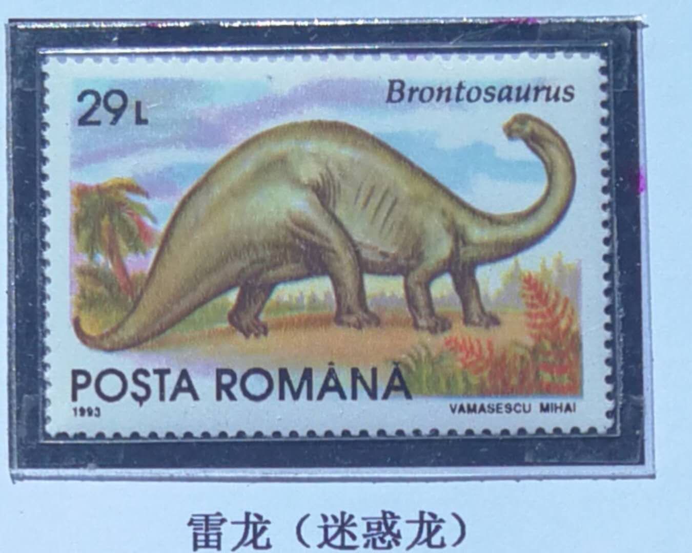 恐龙时代恐龙的最强霸主,恐龙称霸时间有多久