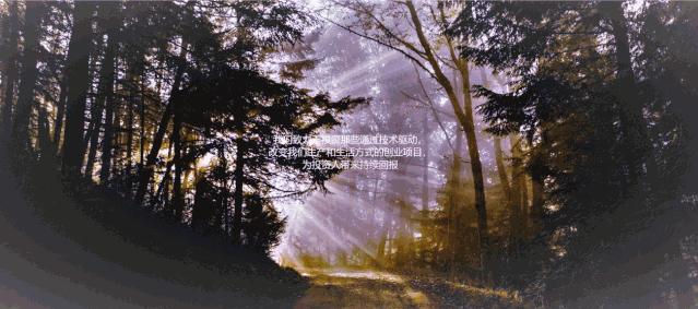 付磊常春藤,付磊常春藤资本