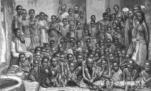 女黑奴为繁殖工具，生完10个能实现自由，一生只做两件羞辱事苟活