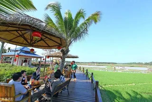 做农场的盈利模式,做农场赚钱吗