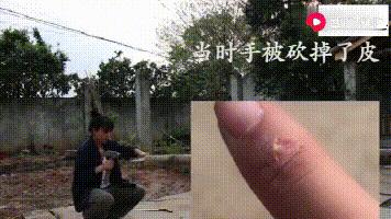 她凭“中华之美”圈粉海外，却被国内网民骂成筛子