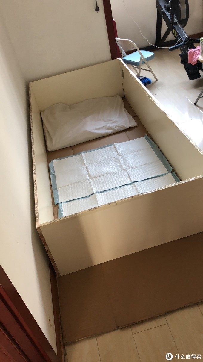 一次创世纪的生活体验—记哈士奇当妈妈