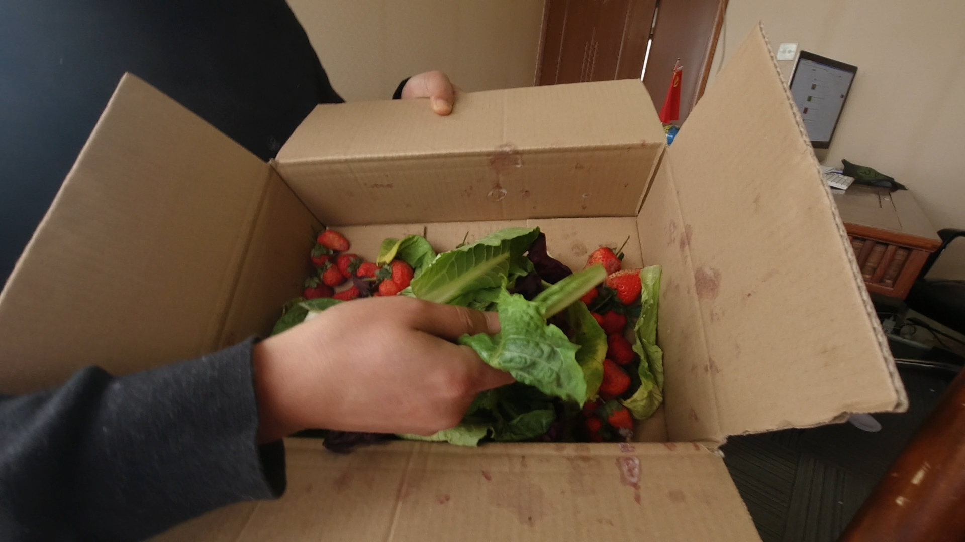 自制果皮酵素正确制作方法,自制酵素浇果树可以直接使用吗