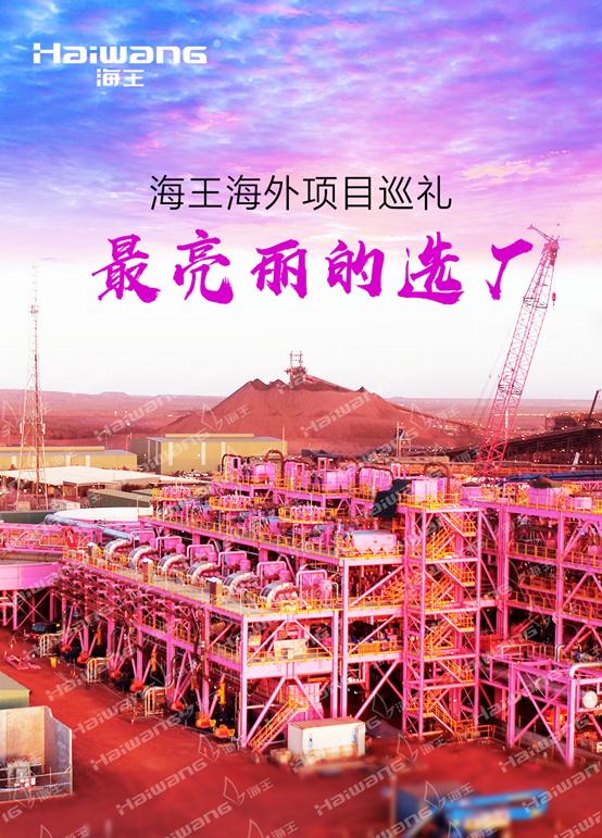 海王集团海外工厂,海王集团2020年大型项目