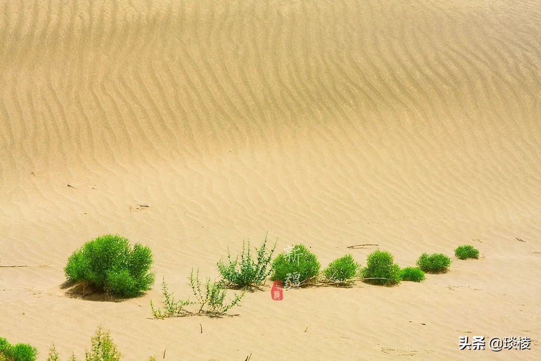 中国66号公路旅游攻略,中国自驾游66条经典线路