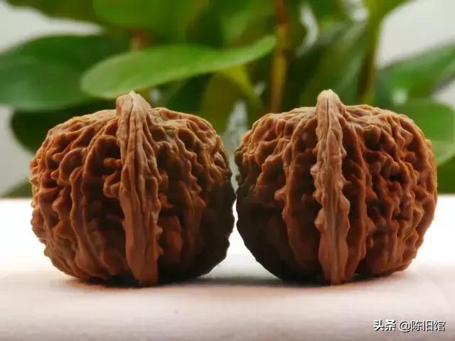 十大鲜核桃,100个精品核桃