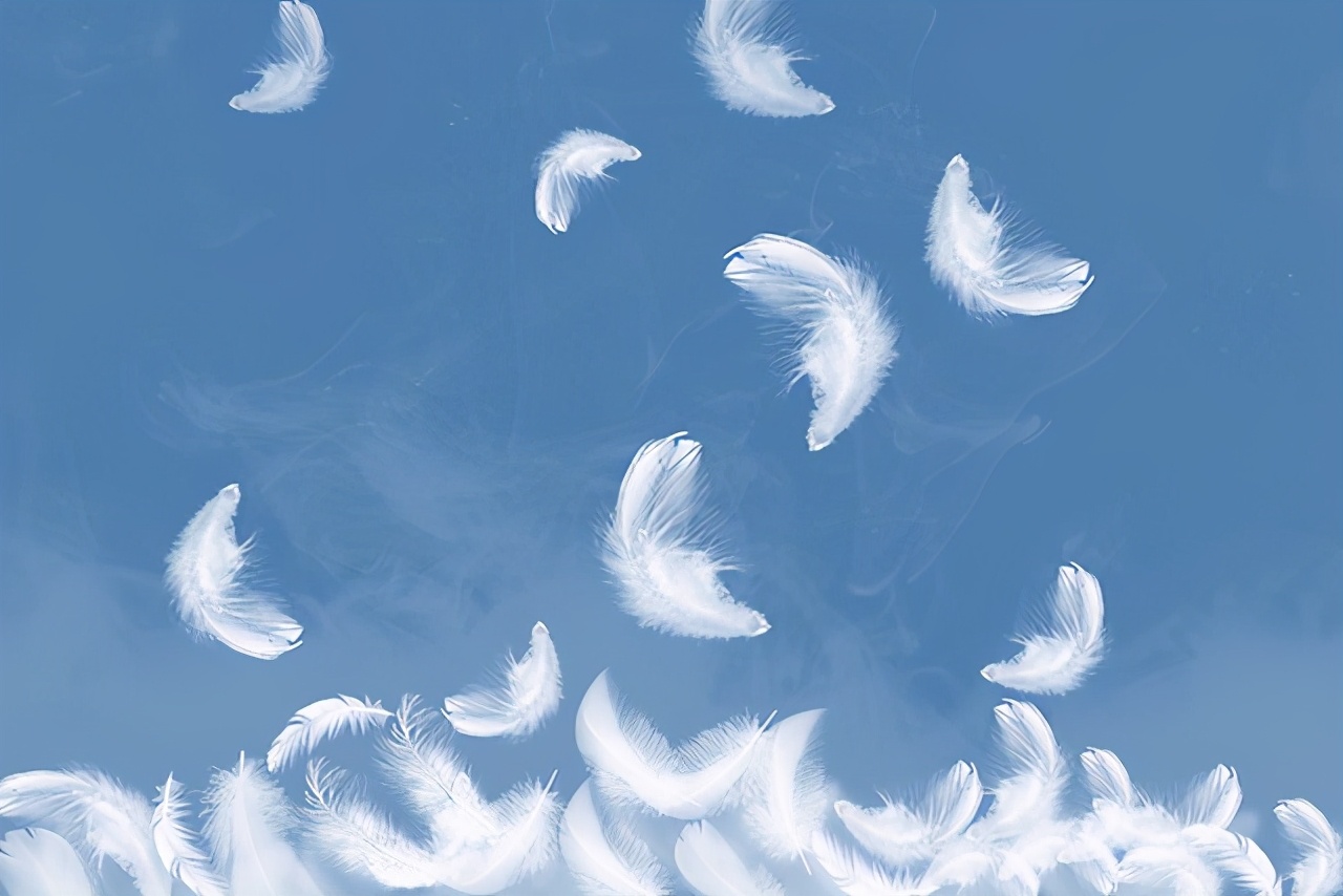 灰鸭绒和白鸭绒的区别,灰鸭绒跟白鸭有什么区别啊