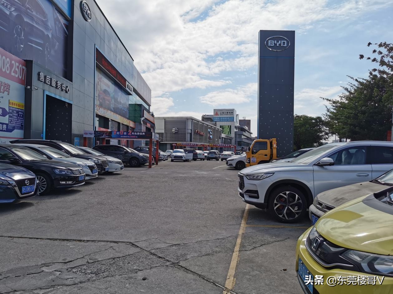 妤煎摜韪╃洏,妤煎摜韪╃洏淇濆埄澶╃考骞垮満