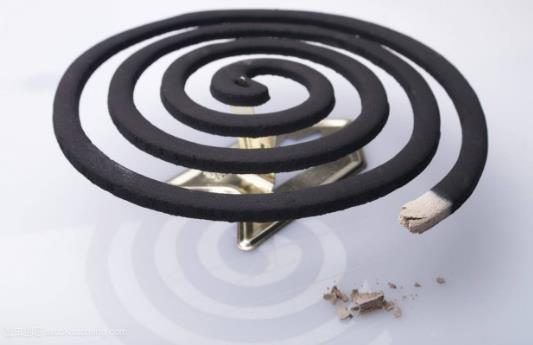 驱蚊香植物能驱蚊吗,驱蚊植物真的能驱蚊吗