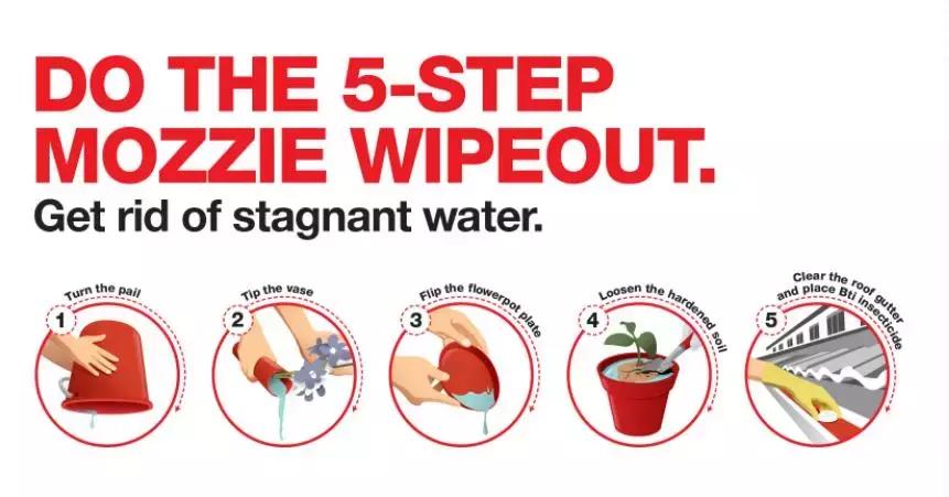 新加坡伊蚊事件,新加坡伊蚊病