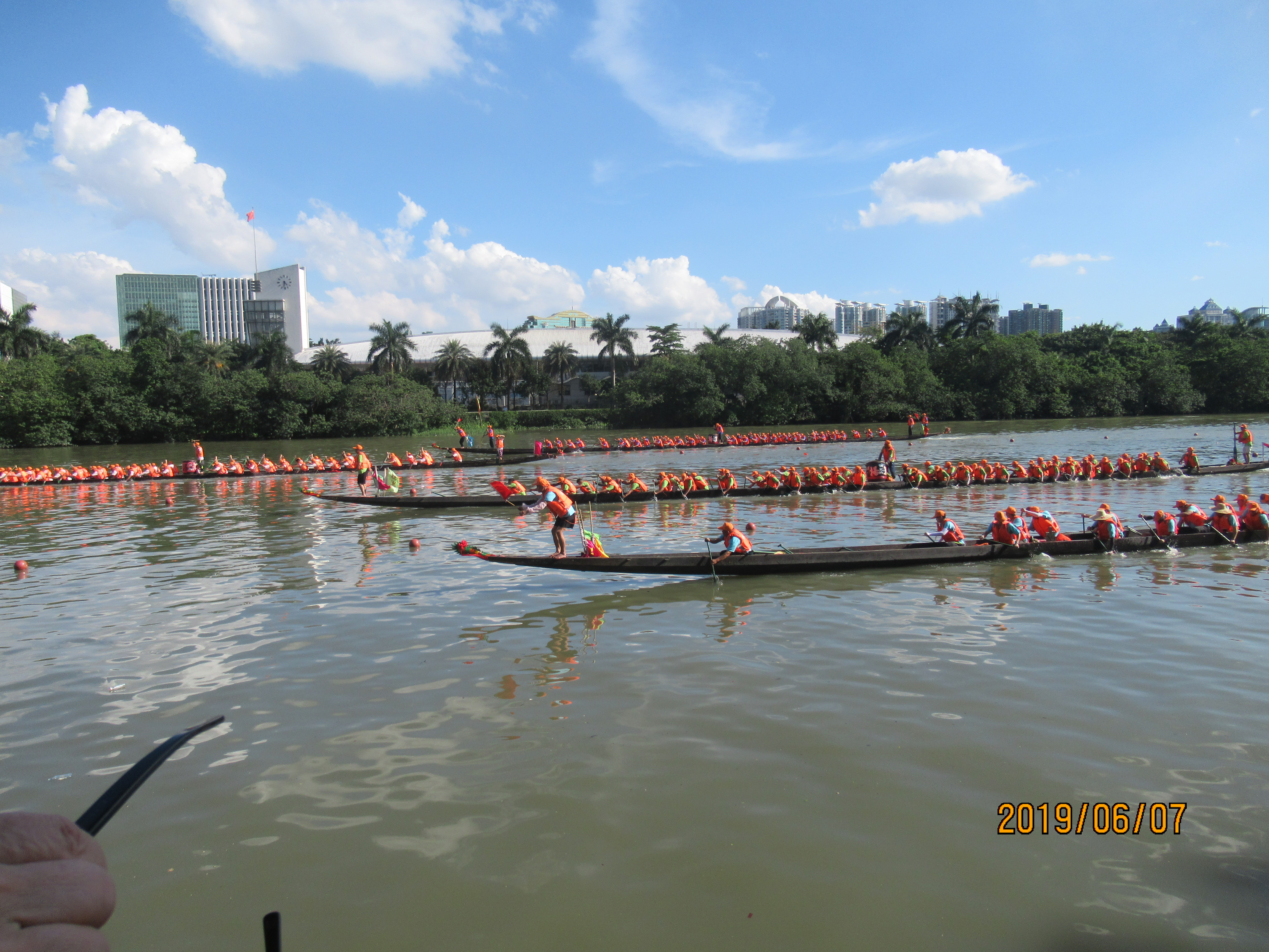 杨箕龙舟,杨箕村龙舟