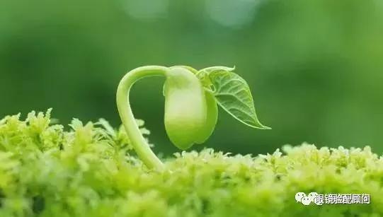 不玩手机孩子远视储备也会不足吗,孩子远视储备没有了还会恢复吗