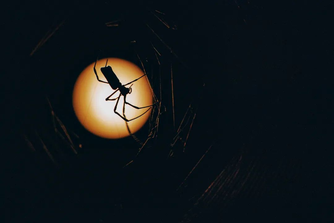 最好的月亮拍摄方法,真实的月亮星空怎样拍才好看