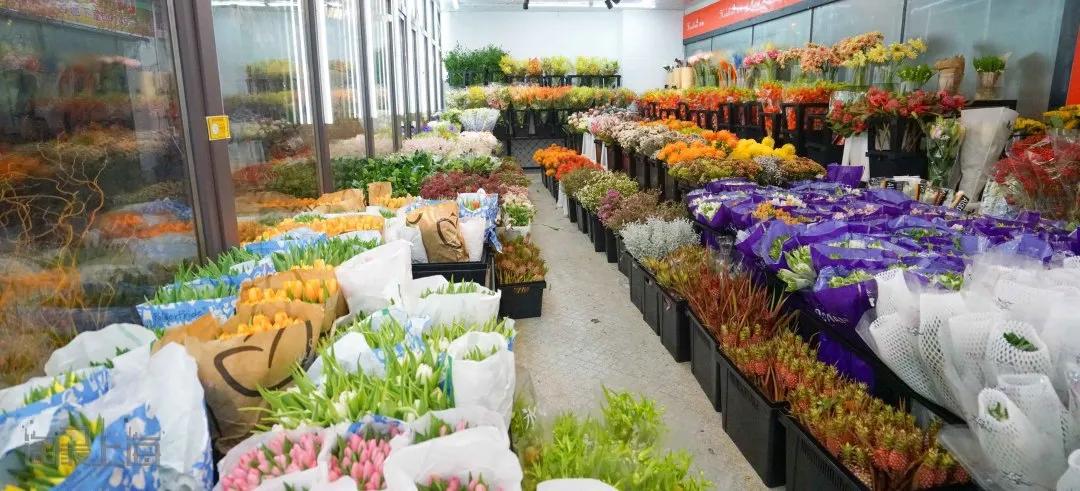 花卉市场晚上营业,今天的花卉市场