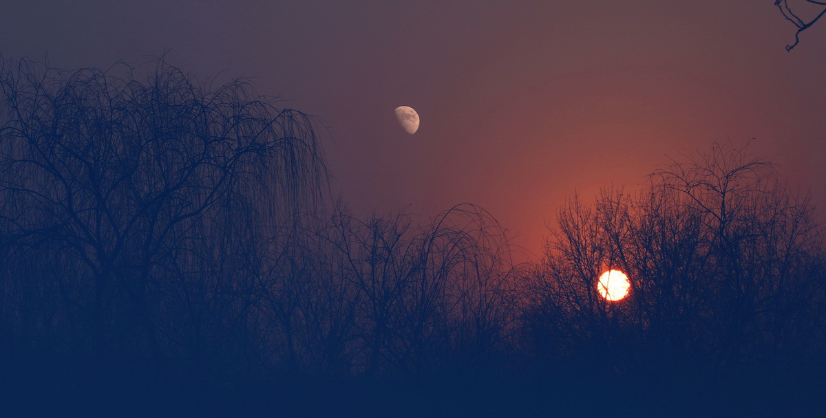 鼠年有384天,鼠年384天怎么算的