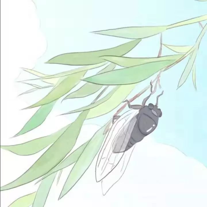 一位女大学生的家教心得：《我的家教之路与一些小建议》