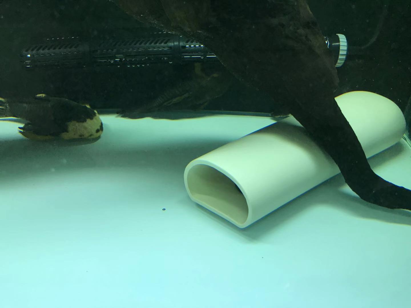 阴阳直升机全红,阴阳直升机图片