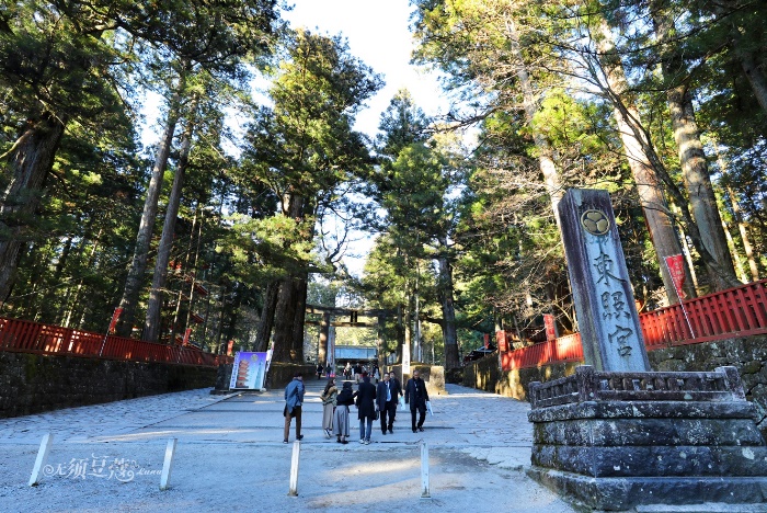 东京冬天附近游玩攻略,1月份的东京好去处