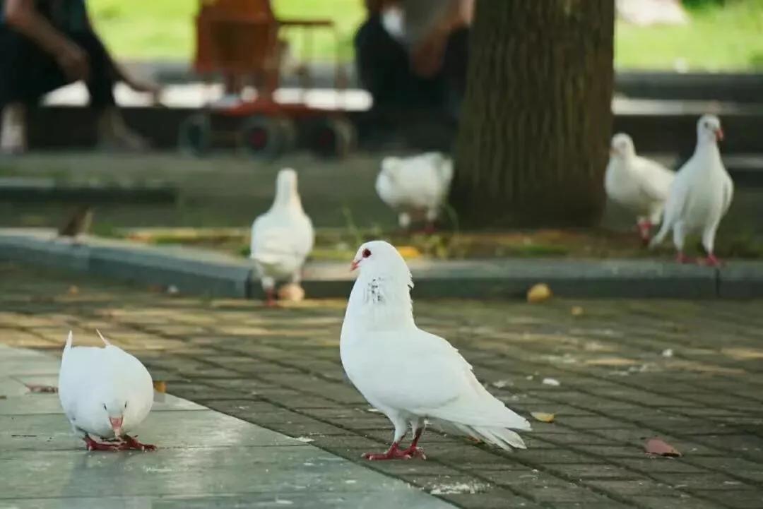 相约浙商大：初入大学，你不得不知道的商大108条