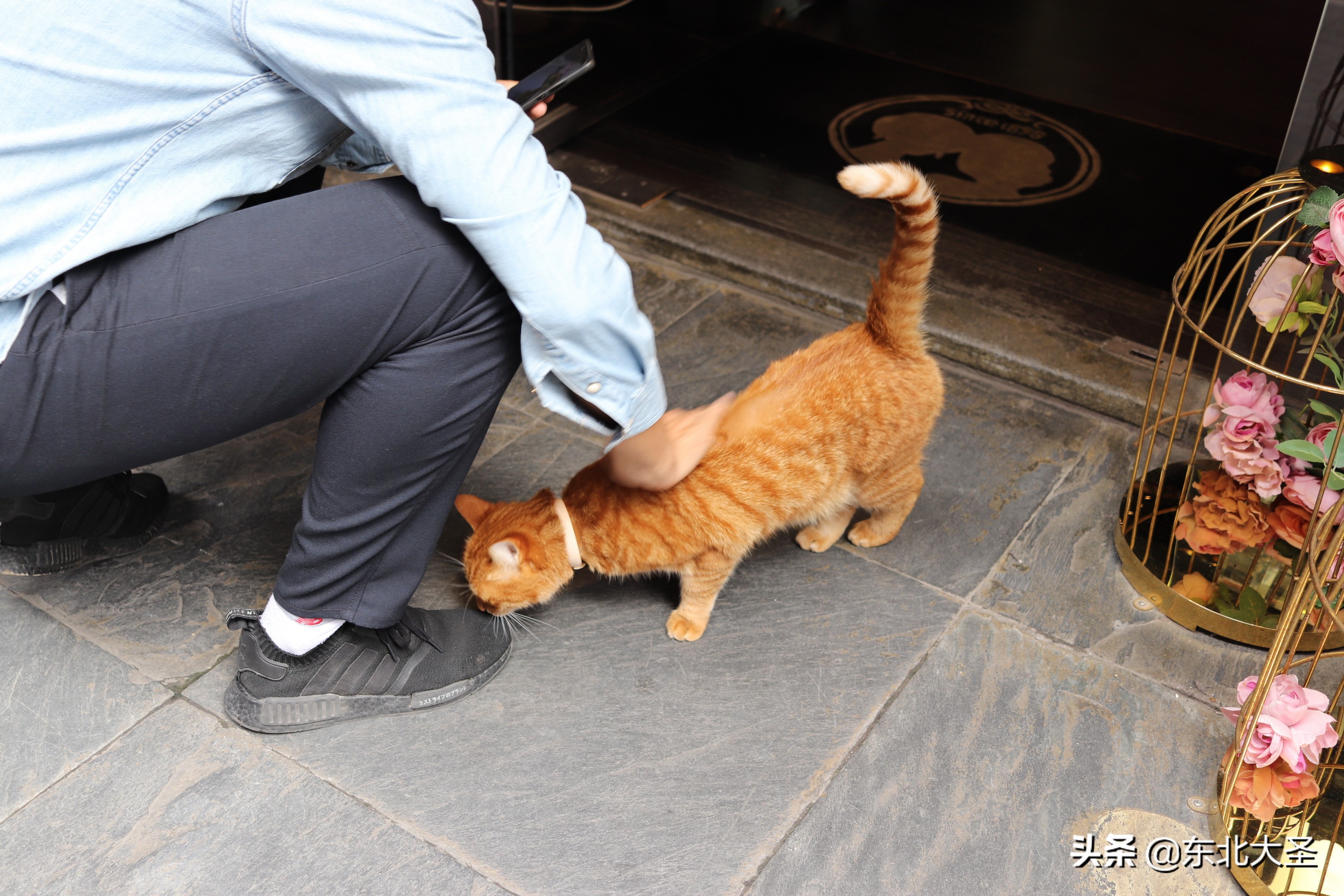 苏州杭州上海乌镇六日游含迪士尼,西湖乌镇南浔西塘三日游
