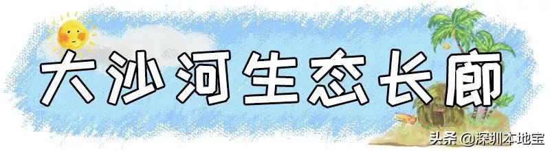 深圳最值得免费去的十大景点,深圳有哪些地方是免费景点
