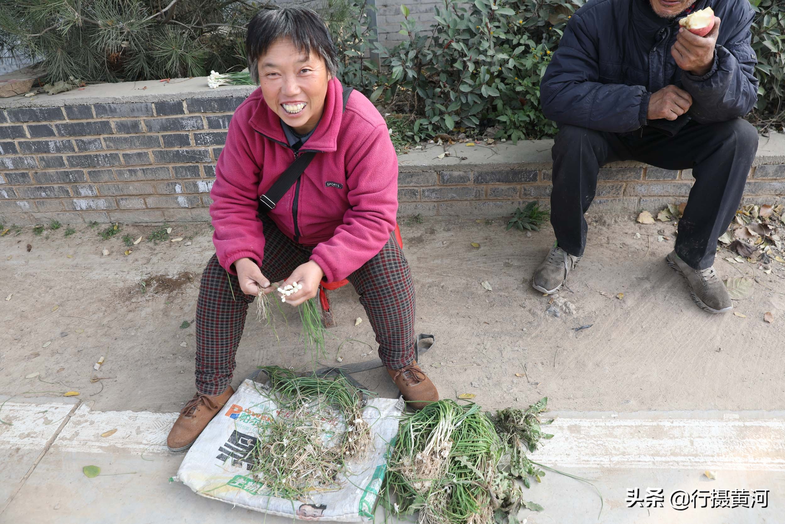 河南5旬大妈村口卖“野味”，干得还是无本生意，收入让她很意外