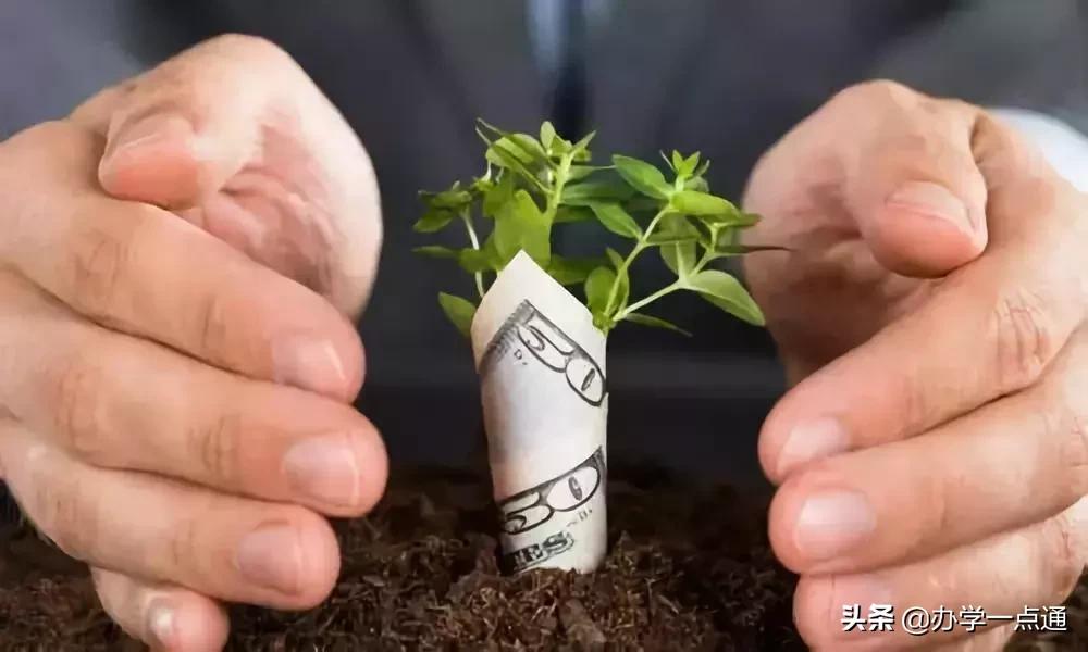 新东方员工股权最低能拿多少,新东方5%股权是多少钱